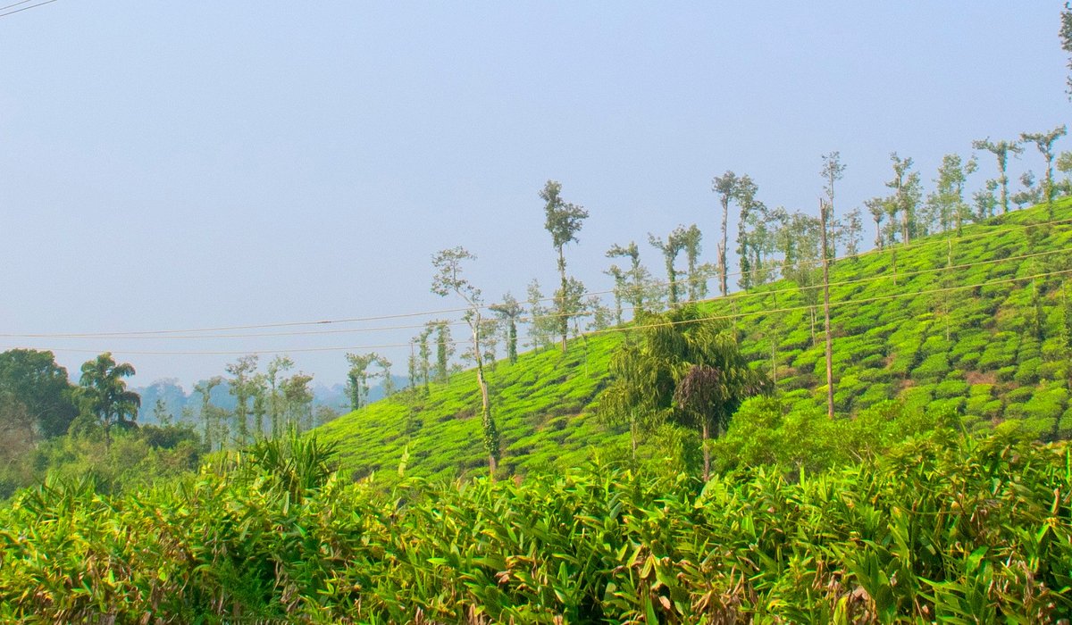 Sri Durga Travels Coorg Trek