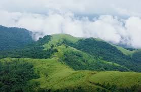 Kurinjal Trek Experience