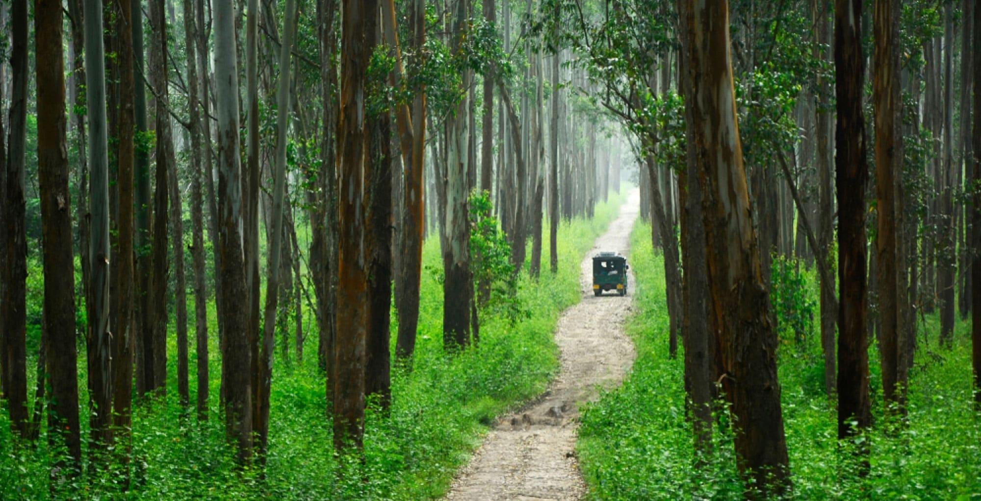 Sri Durga Travels Wayanad Trek