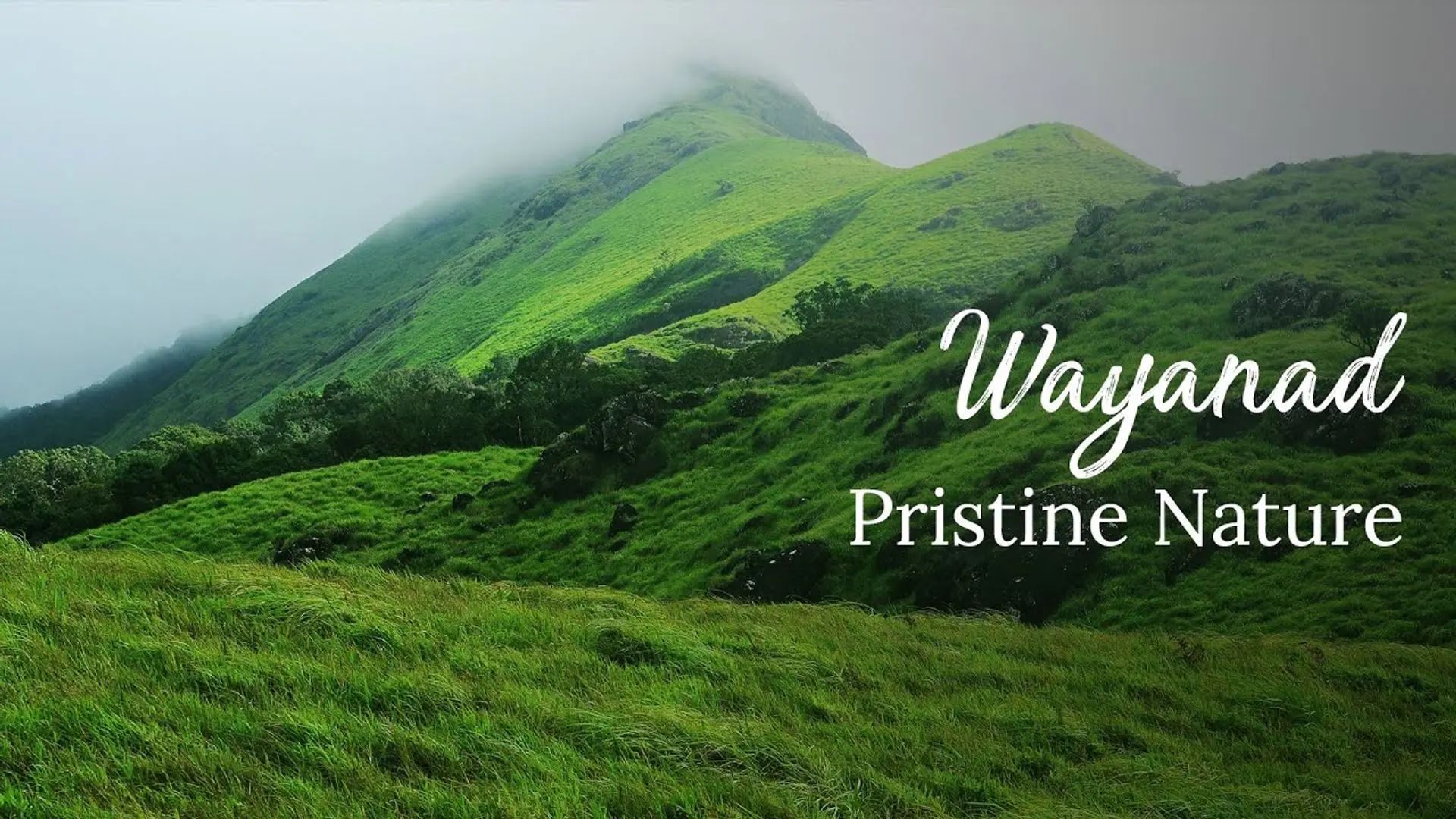 Wayanad Trek